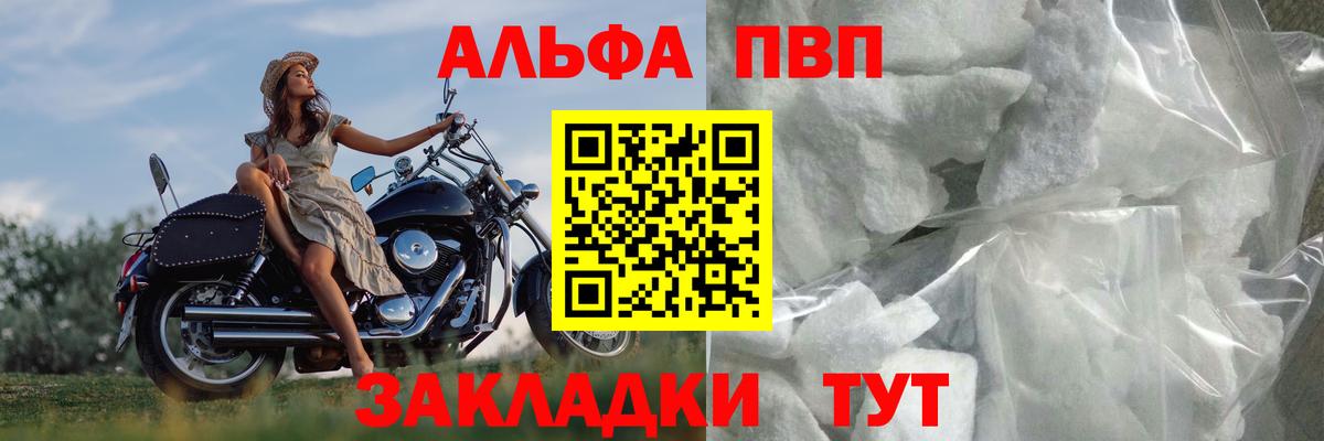 Alfa_PVP СК Новоалександровск