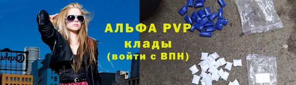 тгк Новокубанск