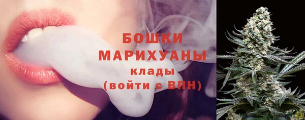 соль ск Осинники
