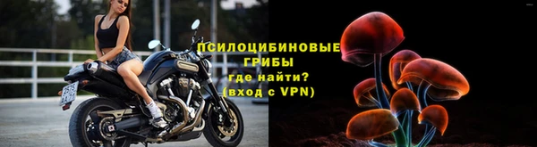 ПСИЛОЦИБИНОВЫЕ ГРИБЫ Няндома
