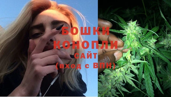 соль ск Осинники