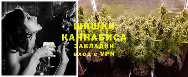 ПСИЛОЦИБИНОВЫЕ ГРИБЫ Няндома