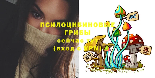 ПСИЛОЦИБИНОВЫЕ ГРИБЫ Няндома