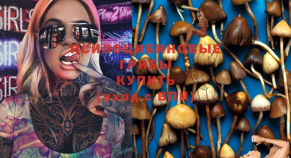 соль ск Осинники