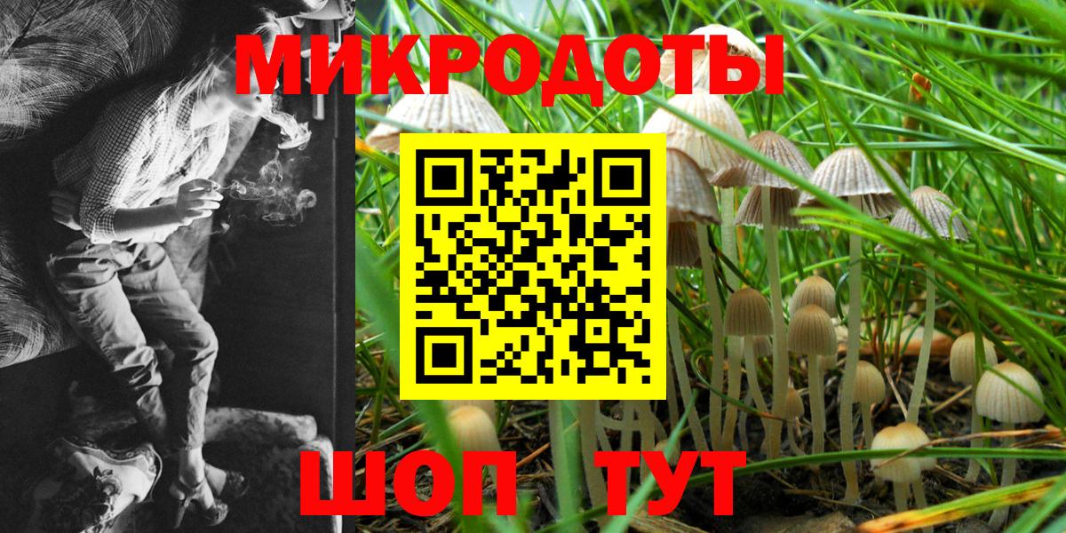 Псилоцибиновые грибы Psilocybine cubensis Новоалександровск
