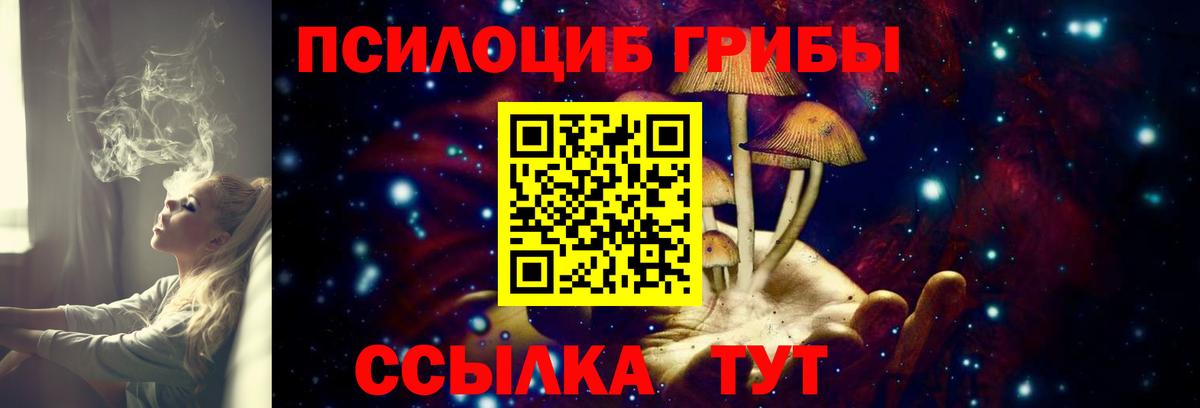 наркотики  Галлюциногенные грибы Cubensis  Вход с VPN  Галлюциногенные грибы прущие грибы  Новоалександровск 