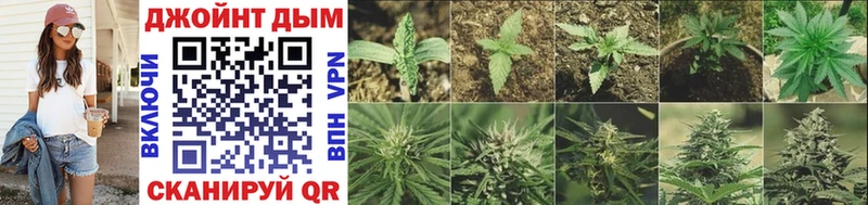 Бошки марихуана White Widow  закладка  Новоалександровск 