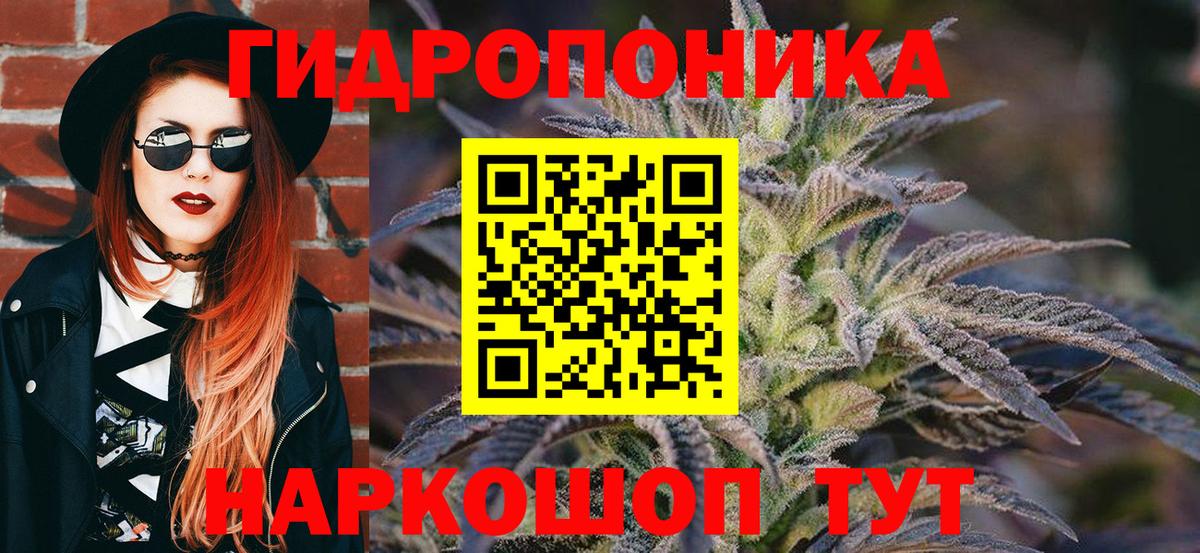 Каннабис план  Каннабис гибрид  Новоалександровск  Вход с VPN  Марихуана White Widow 